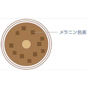 ヘアカラー の色持ちが悪い