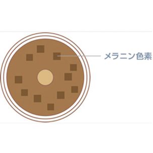 ヘアカラー の色持ちが悪い
