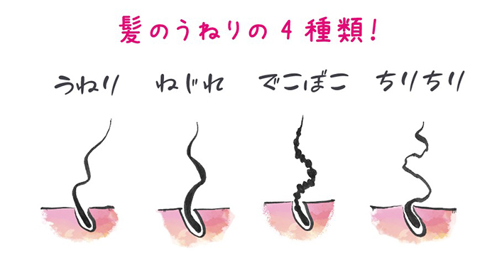 髪の毛の特徴